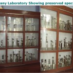 Botany Lab