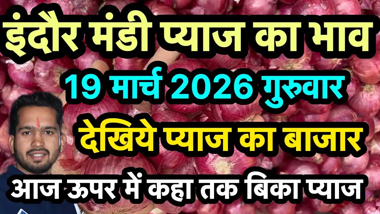 Wheat Price : इंदौर मंडी भाव 19 मार्च 2026 लहसुन ₹4,900 से ₹6,500 तक पहुंचा, सोयाबीन ₹5,630 के और गेहूं के भाव स्थिर